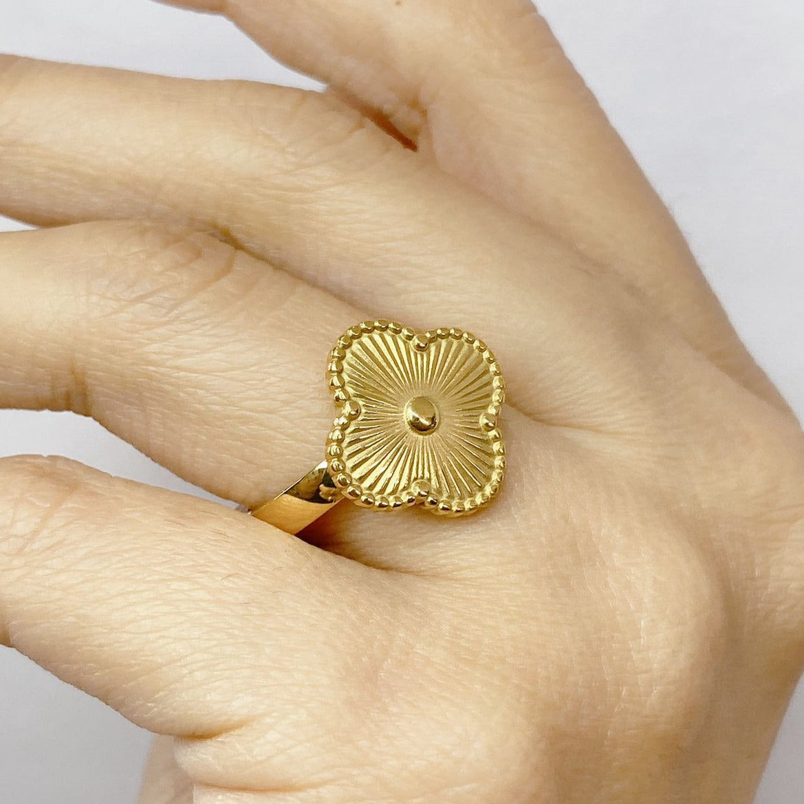 Anillo de Acero Inoxidable Talla #8 RAI599-8