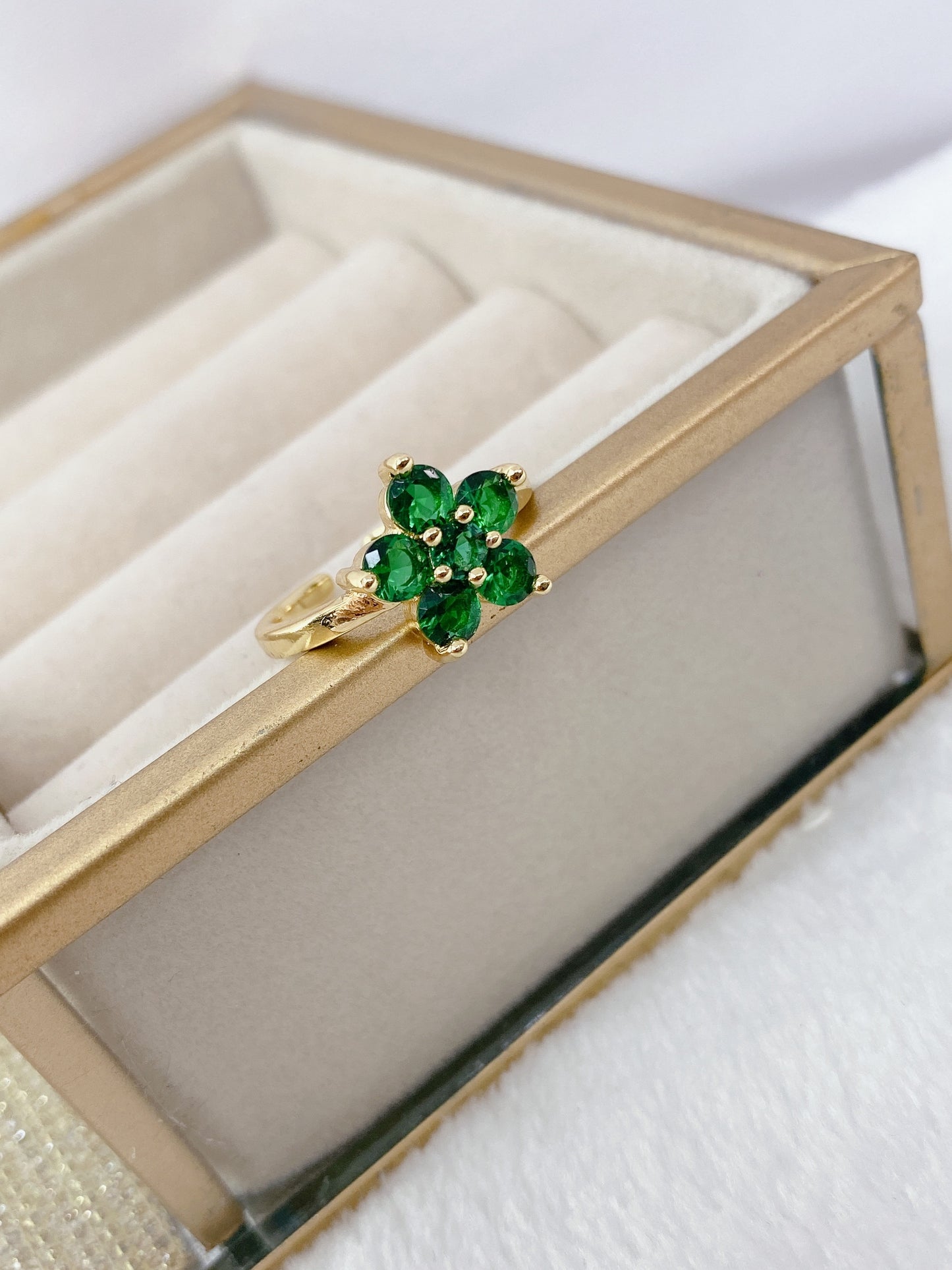 Anillo Chapa de Oro Ajustable ACO1245-2