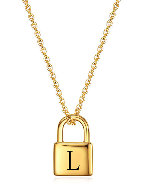 Collar de Acero CAI870-L