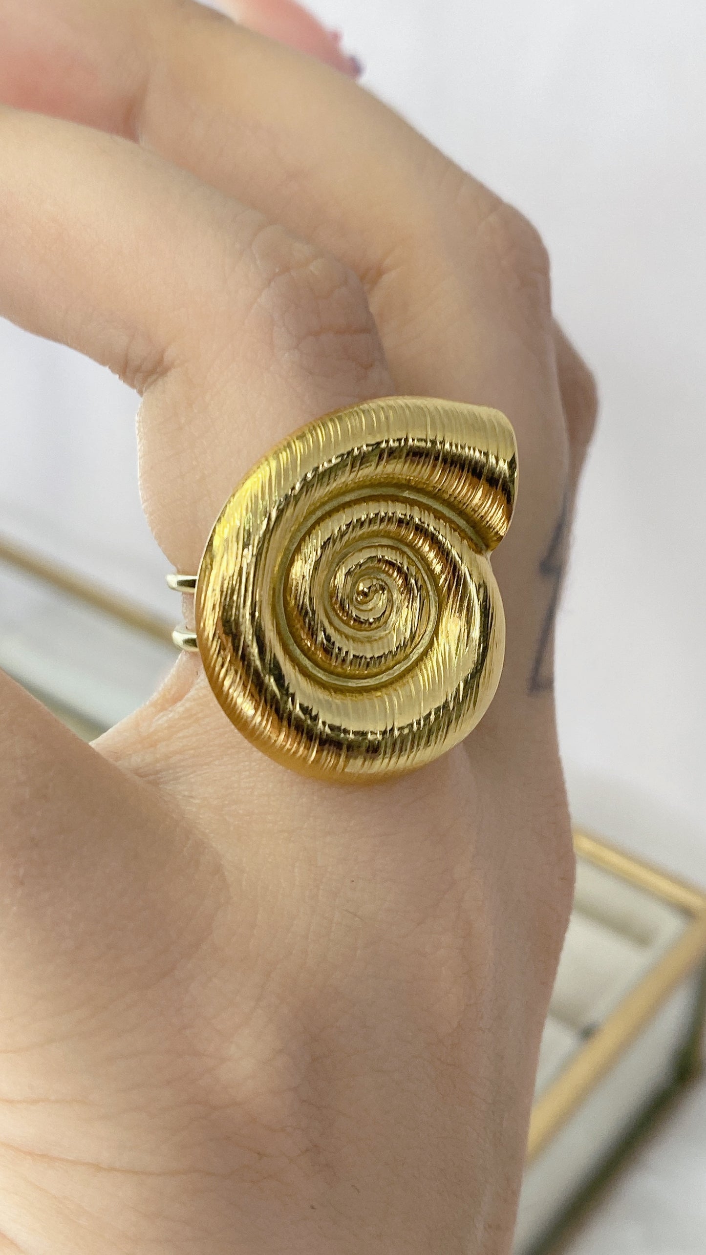 Anillo de Acero Inoxidable Ajustable RAI852-1