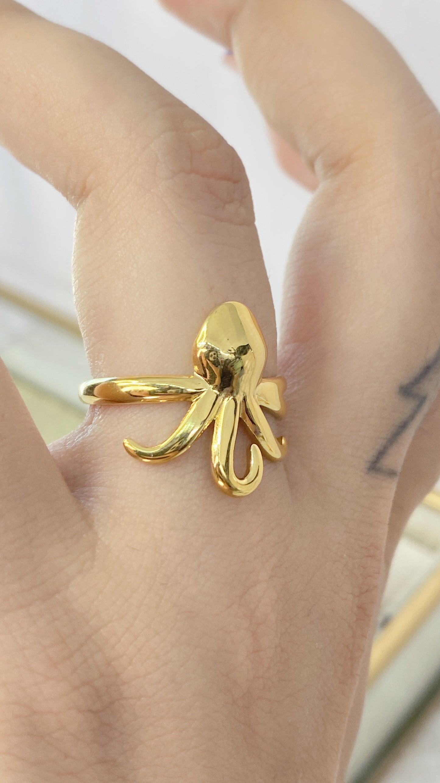 Anillo de Acero Inoxidable Ajustable RAI856-1