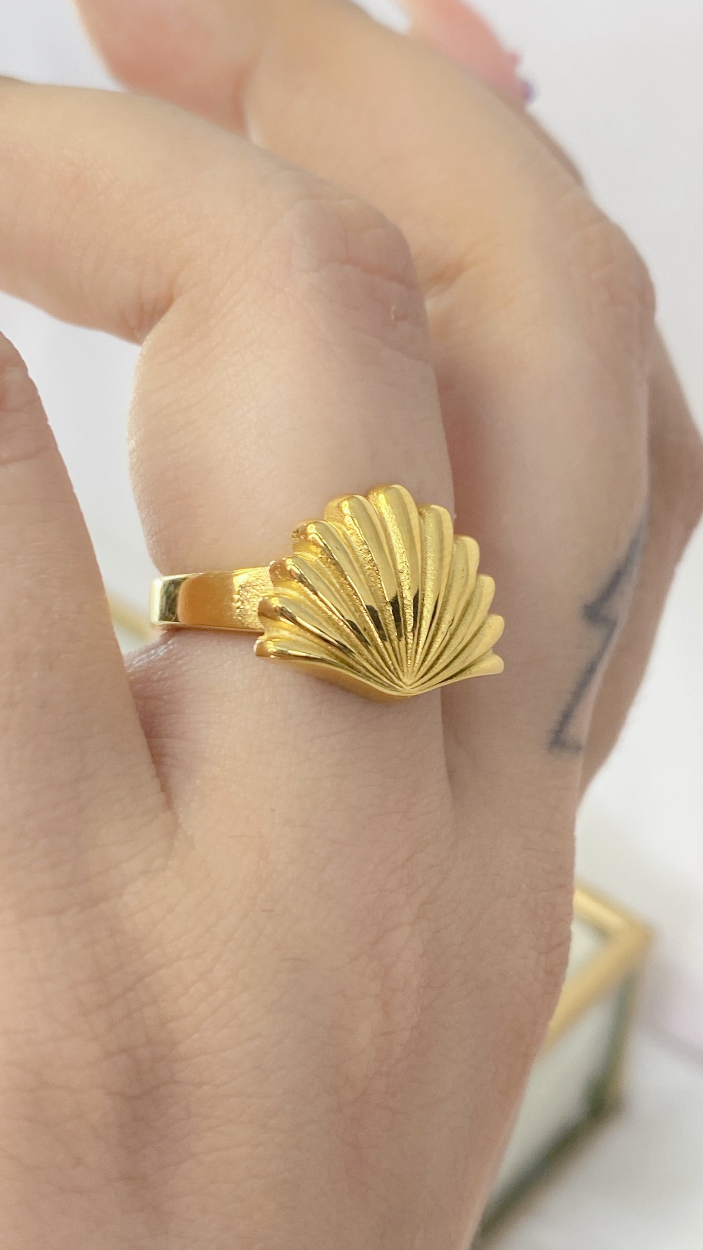 Anillo de Acero Inoxidable Talla #7 RAI863-7