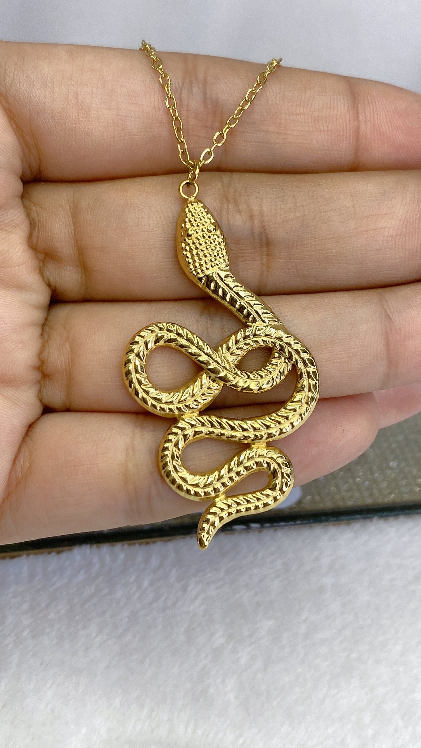 Collar de Acero Inoxidable CAI2651-1