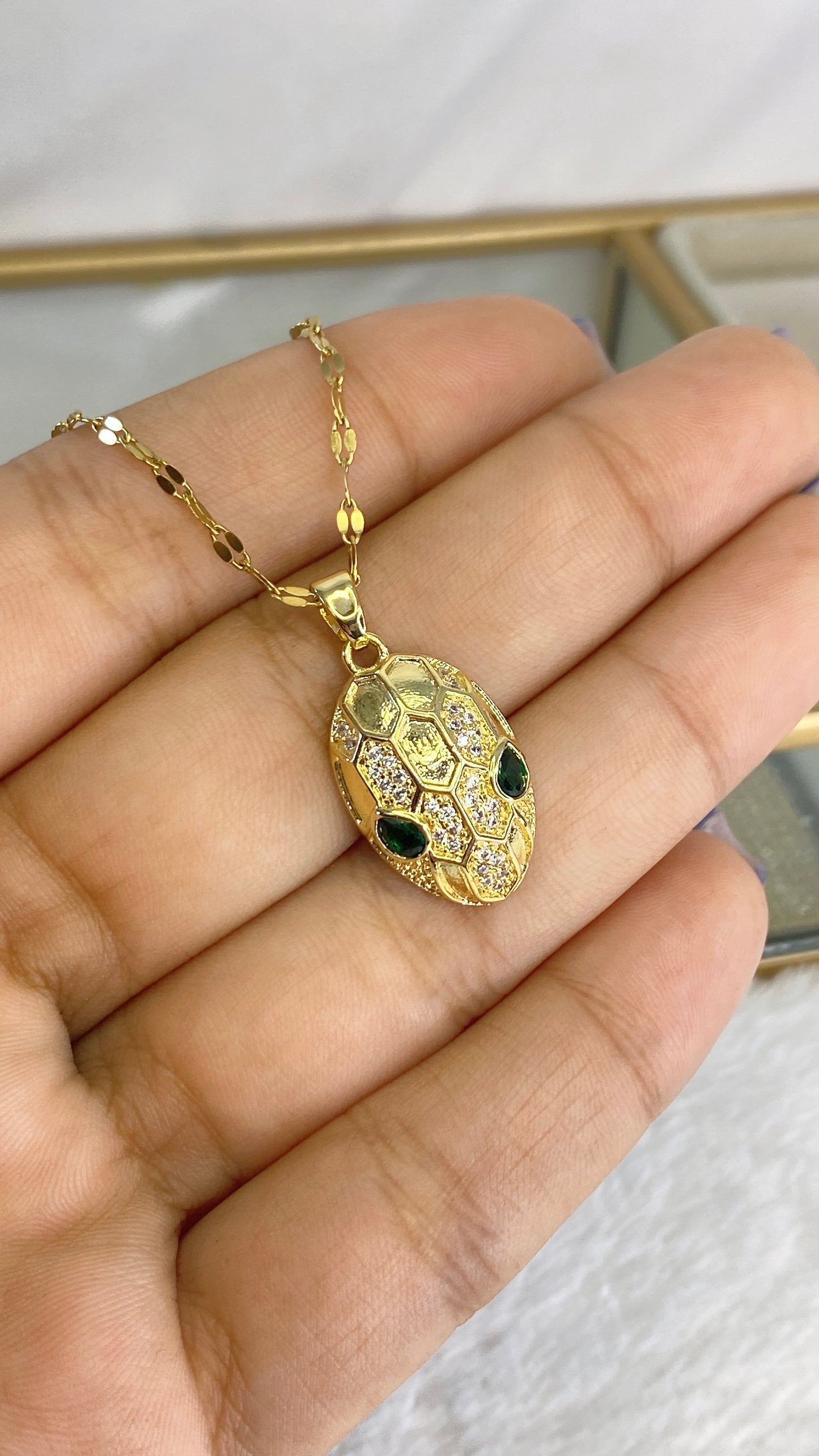 Collar de Acero Inoxidable CAI2660-1