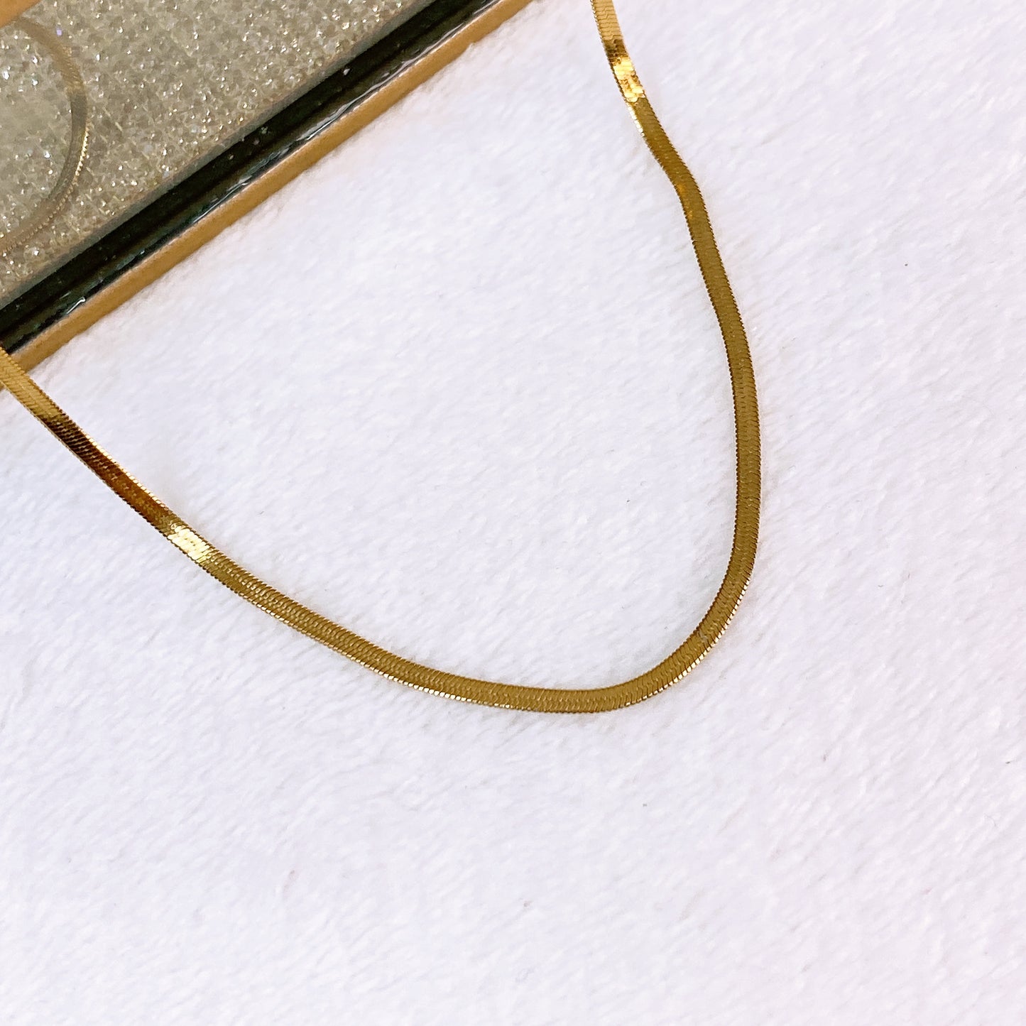 Collar de Acero Inoxidable CAI3381-1