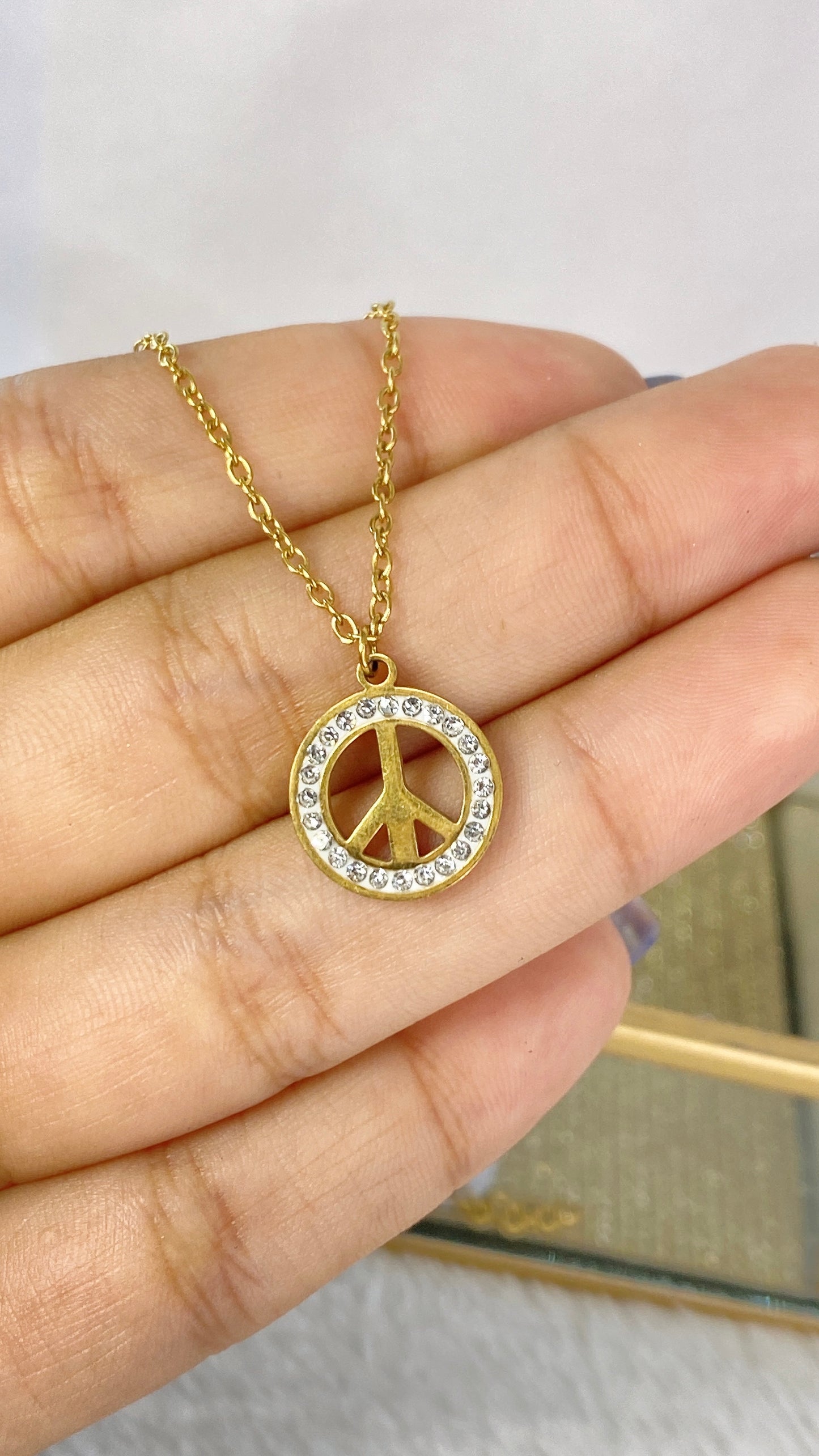 Collar de Acero Inoxidable CAI2662-1