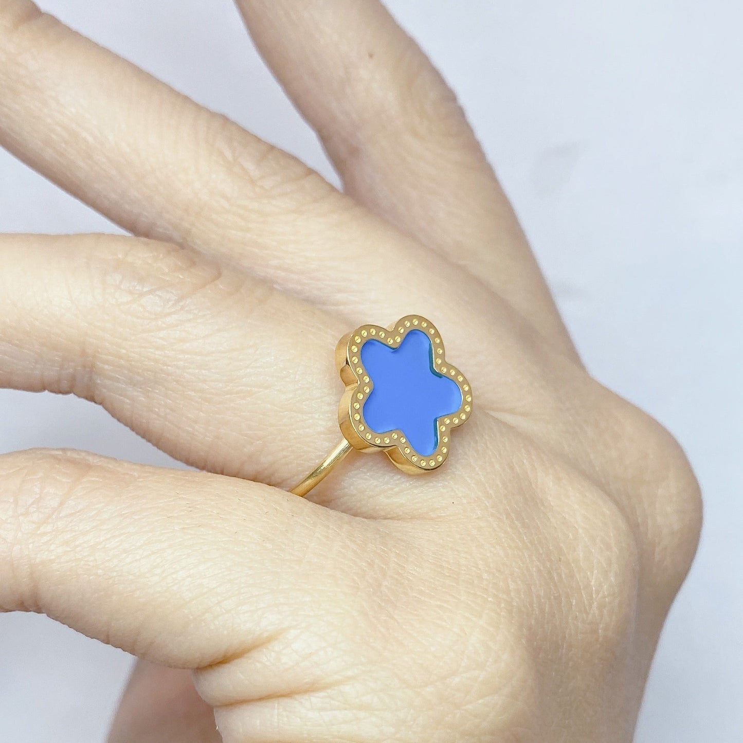 Anillo de Acero Ajustable RAI1233-1