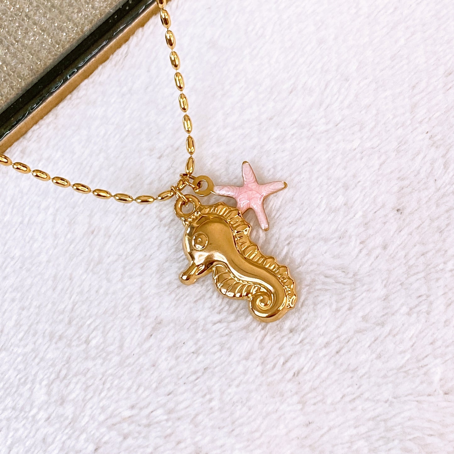 Collar de Acero Inoxidable CAI3342-1