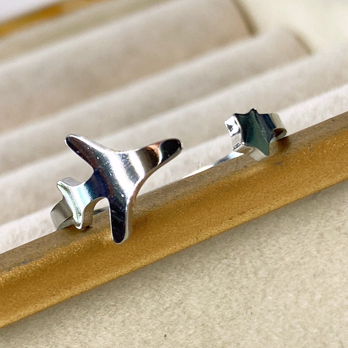 Anillo de Acero Inoxidable Ajustable RAI976-2