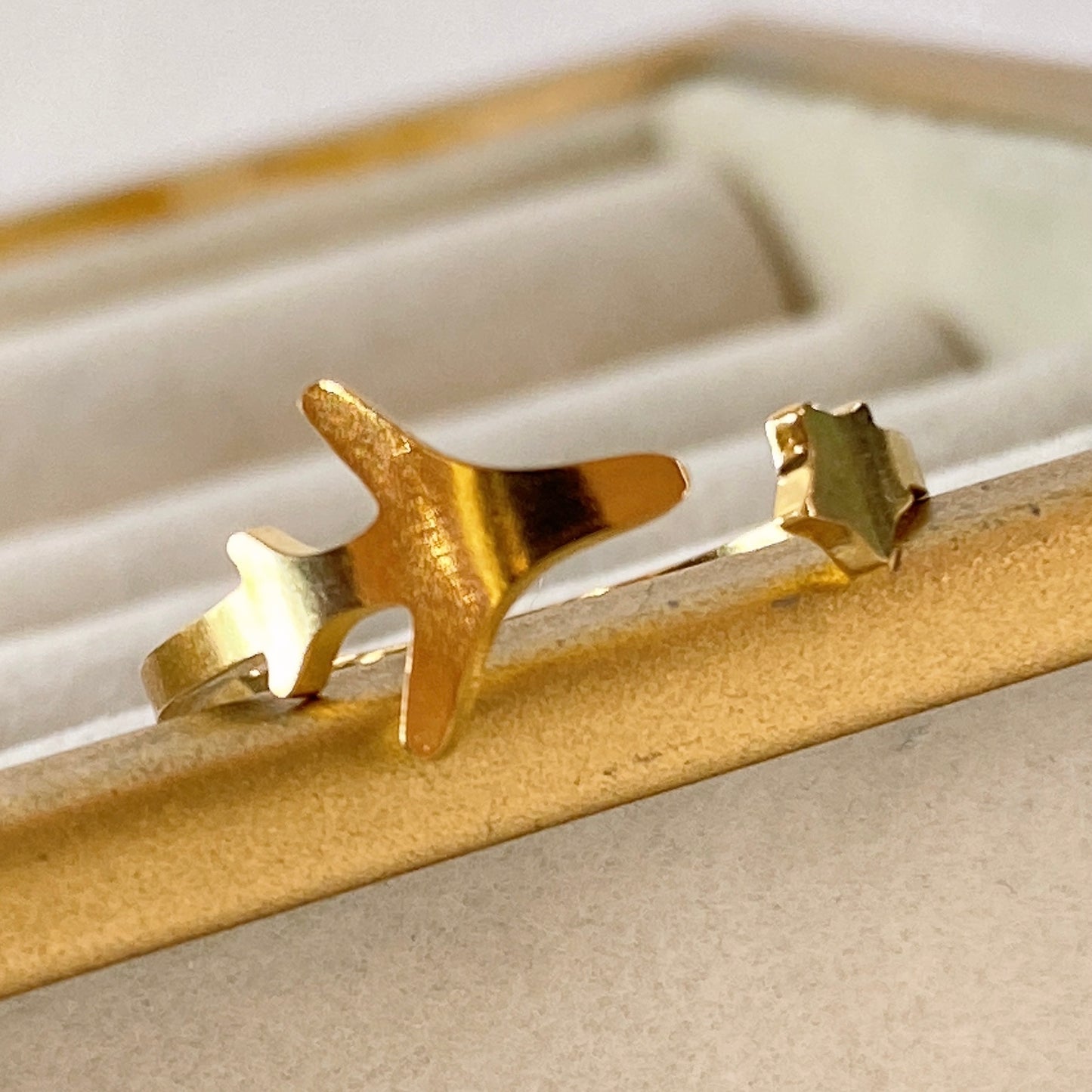 Anillo de Acero Inoxidable Ajustable RAI976-1