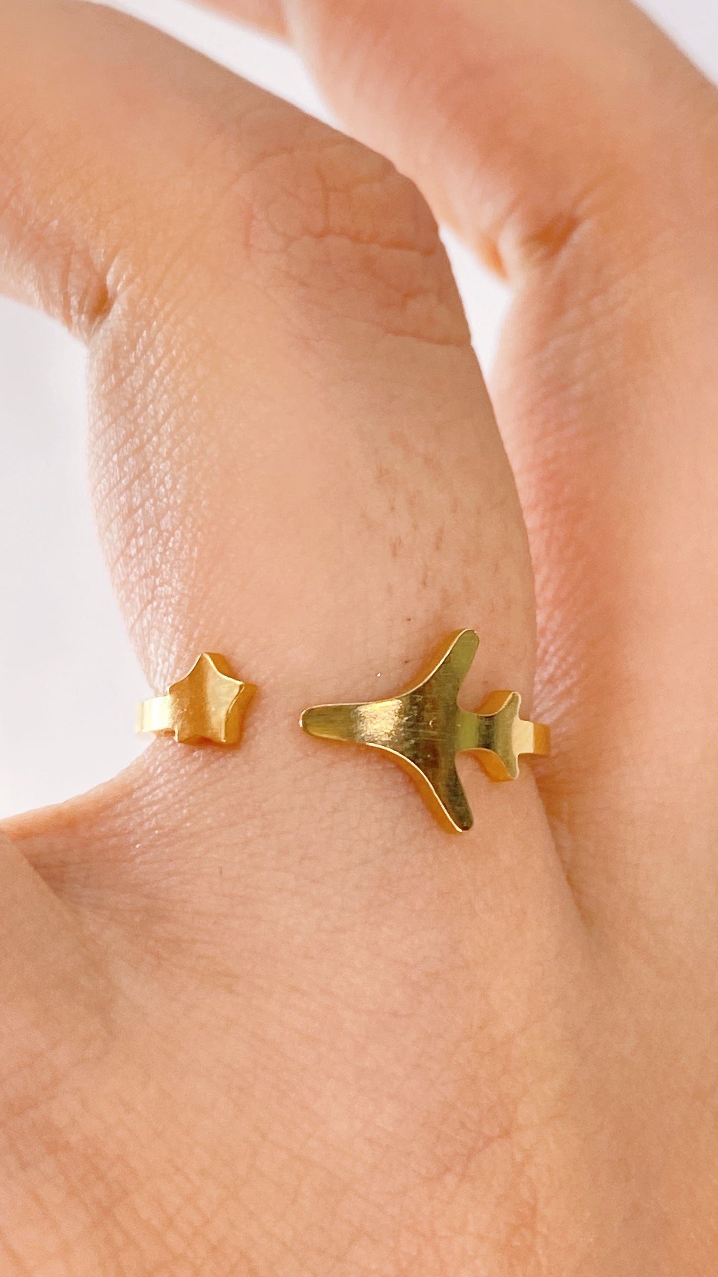 Anillo de Acero Inoxidable Ajustable RAI976-1