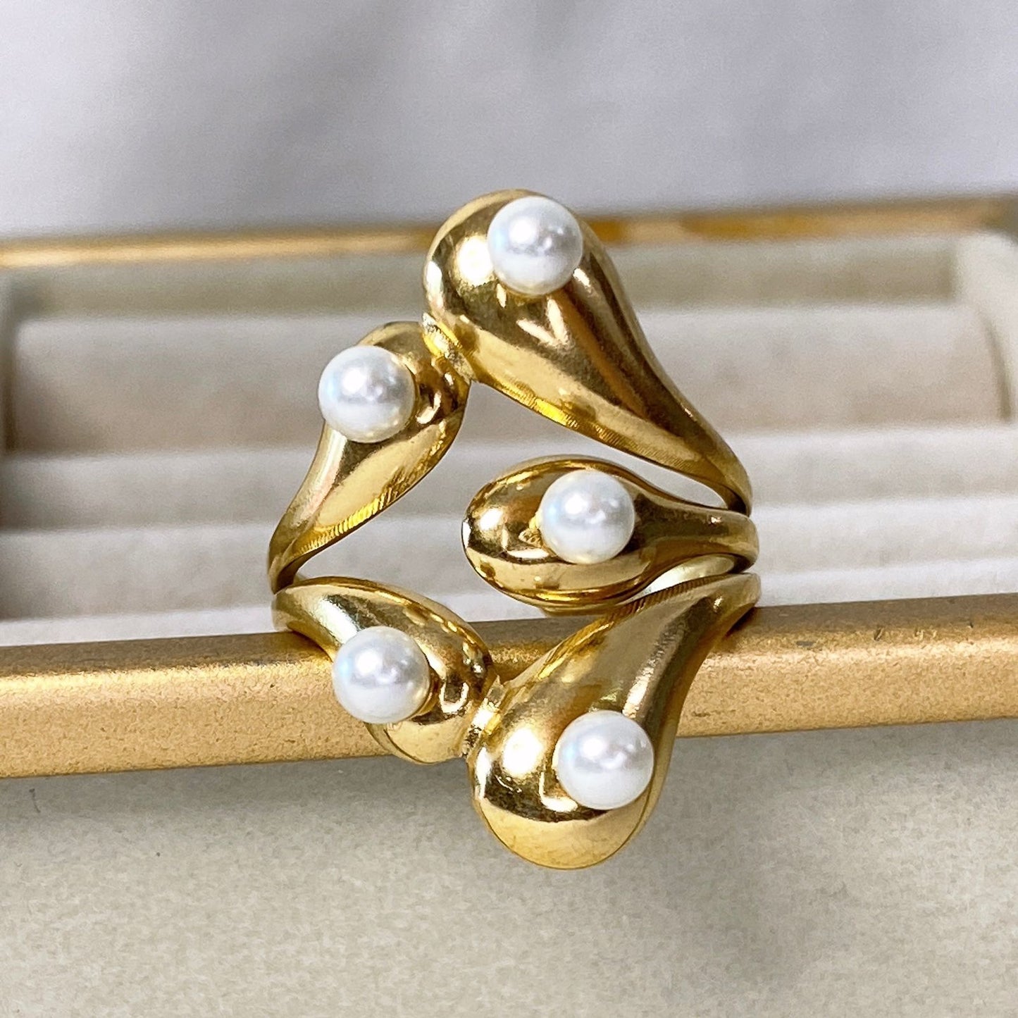 Anillo de Acero Inoxidable Ajustable RAI933-1