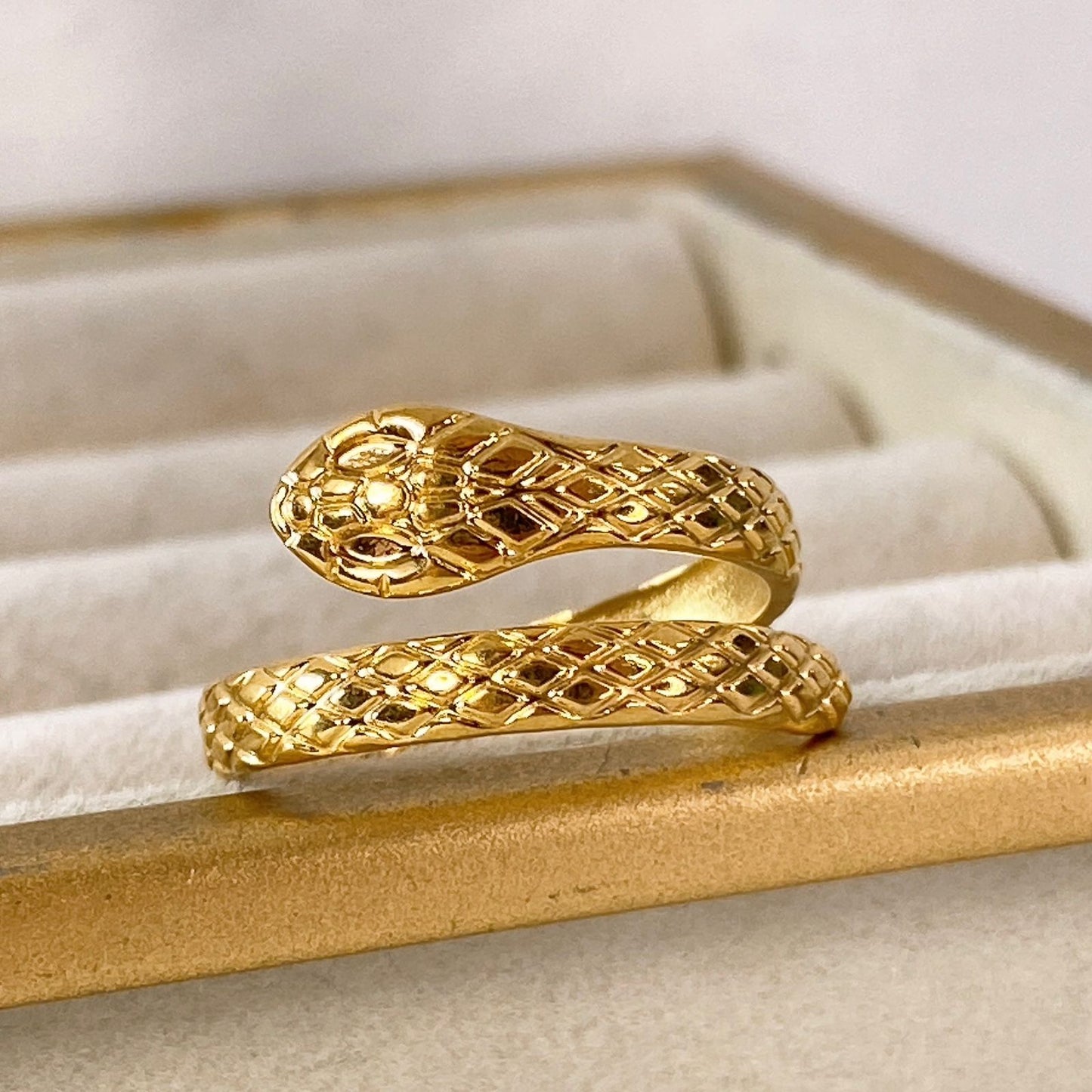 Anillo de Acero Inoxidable Ajustable RAI955-1