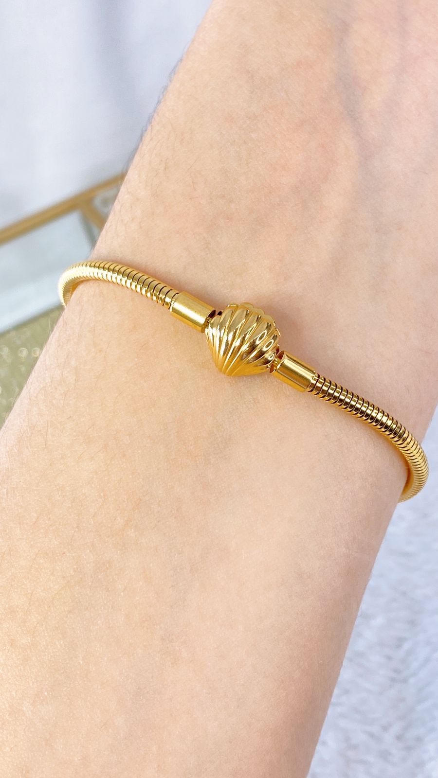 Pulsera de Acero Inoxidable PAI967-1