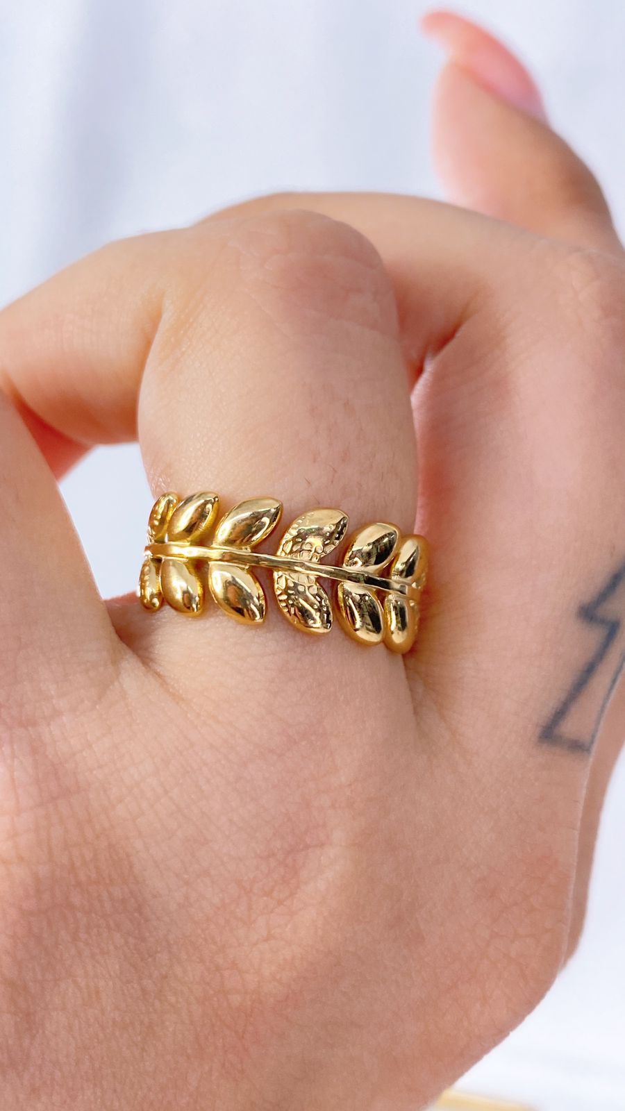 Anillo de Acero Inoxidable Ajustable RAI974-1