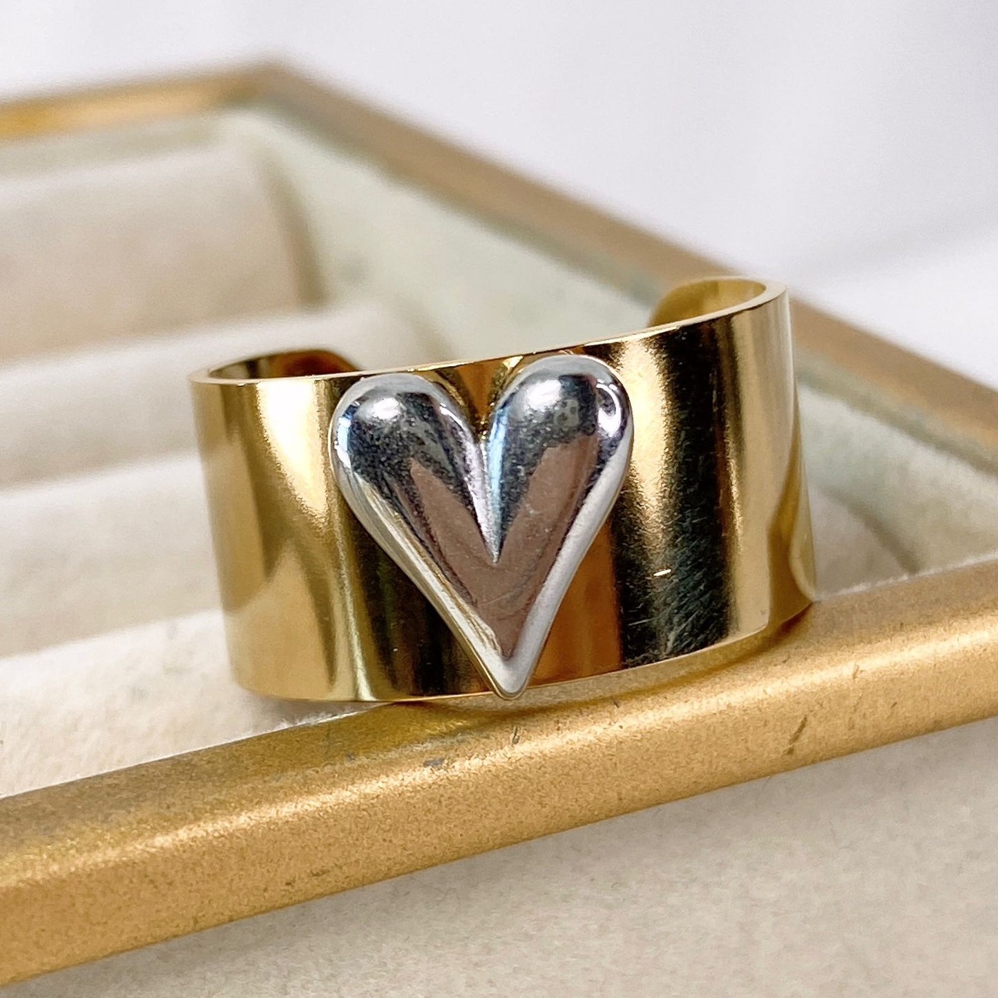 Anillo de Acero Inoxidable Ajustable RAI965-1