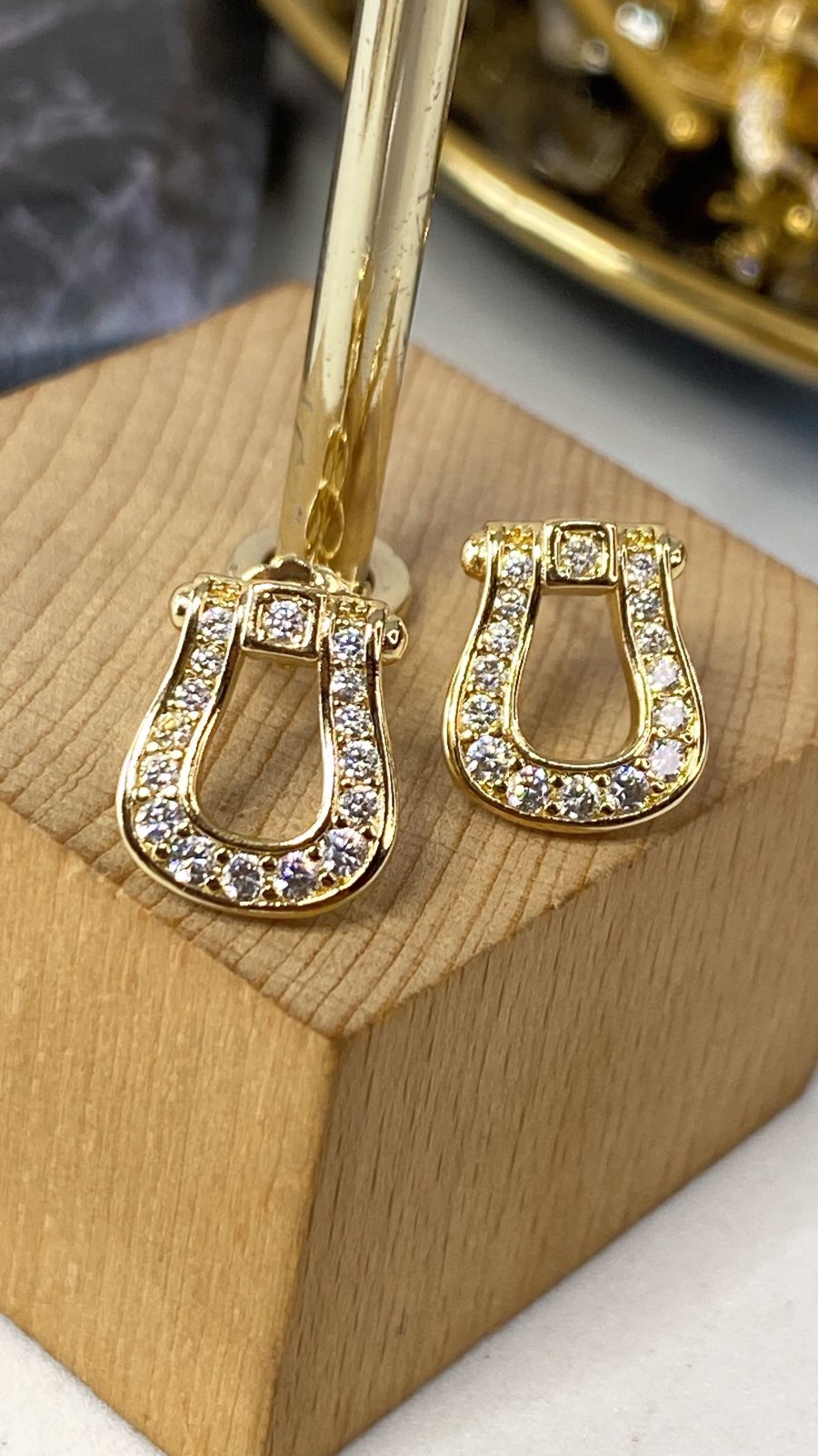 Arete de Chapa de Oro COA1932-1