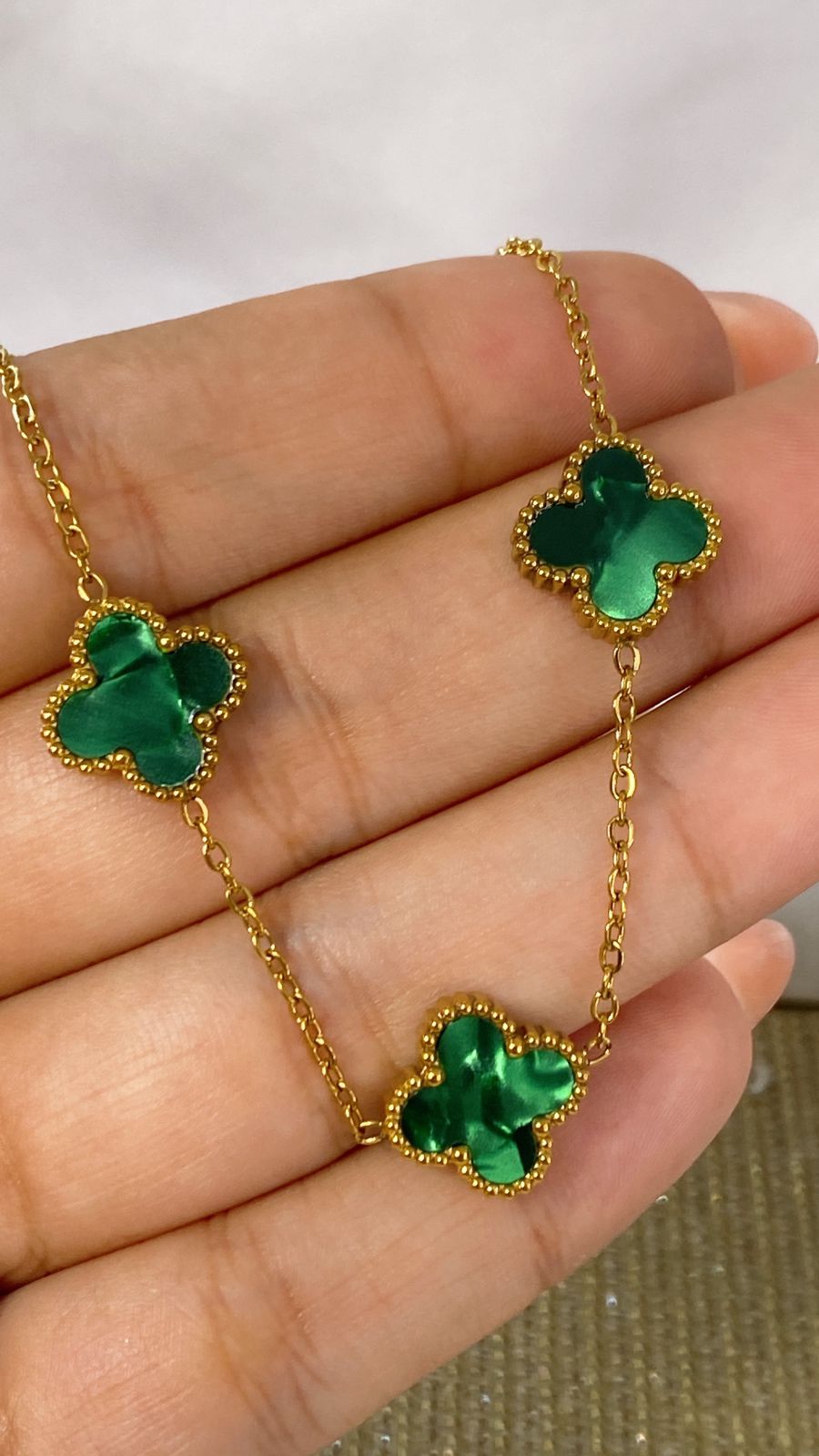 Collar de Acero Inoxidable CAI2502-2