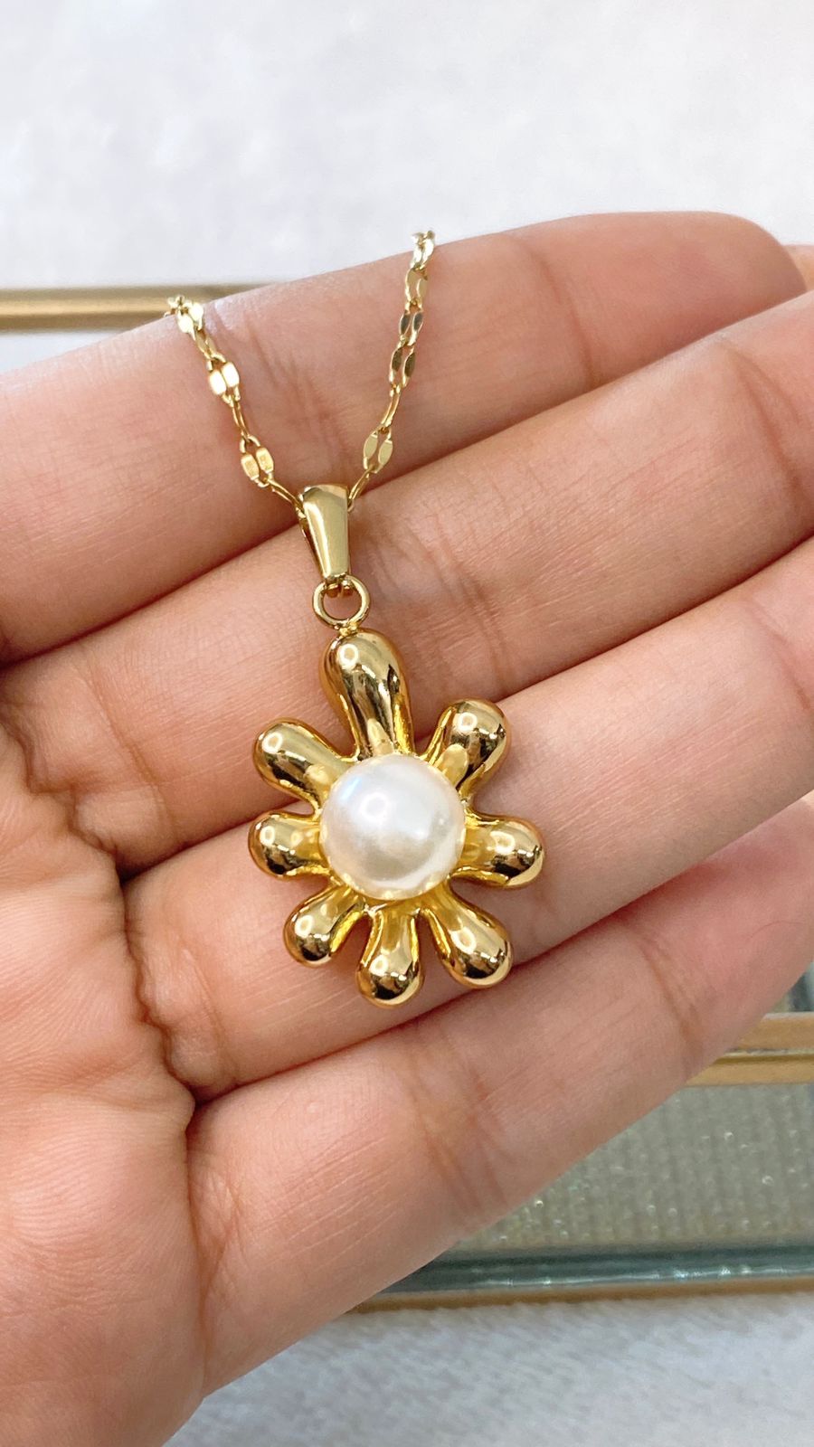 Collar de Acero Inoxidable CAI2642-1