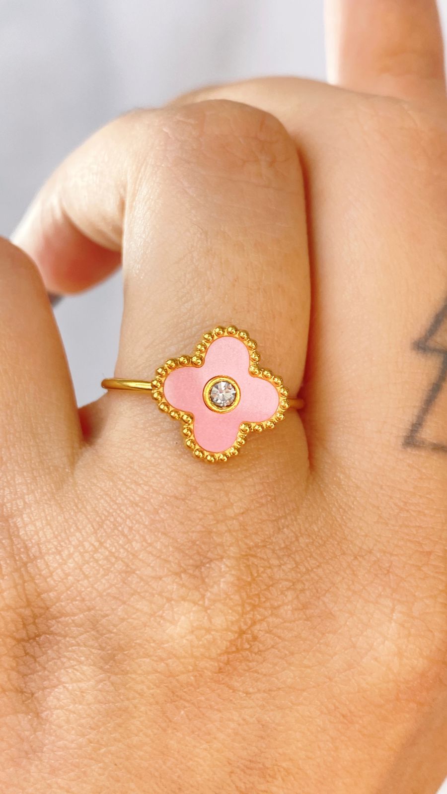 Anillo de Acero Ajustable Inoxidable RAI1053-4