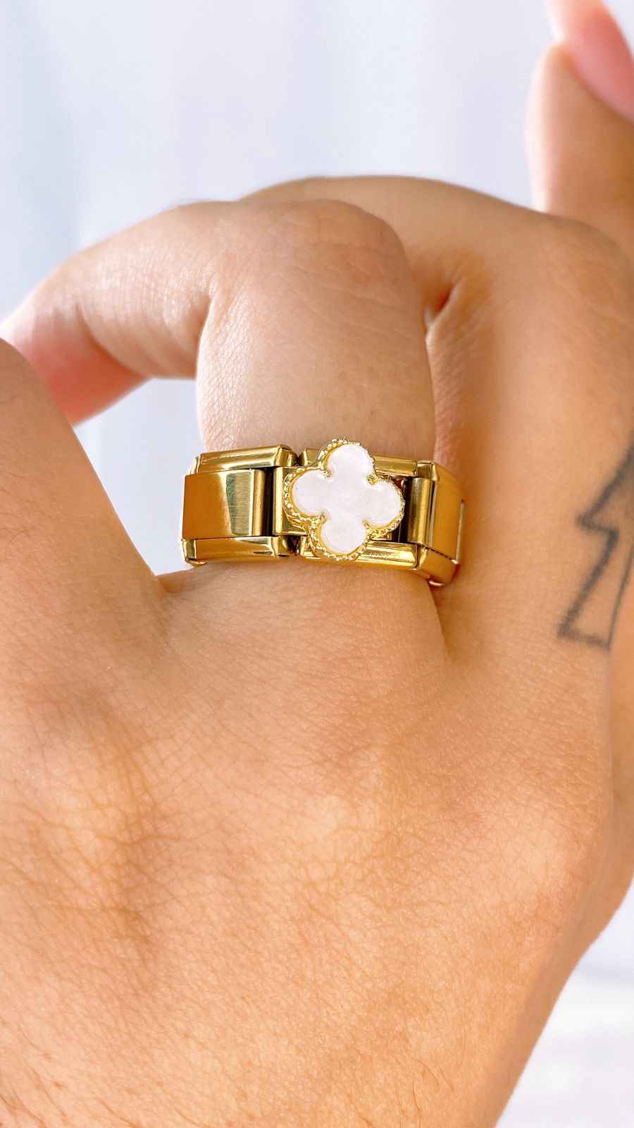 Anillo Italiano de Acero Inoxidable Ajustable RAI1073-1