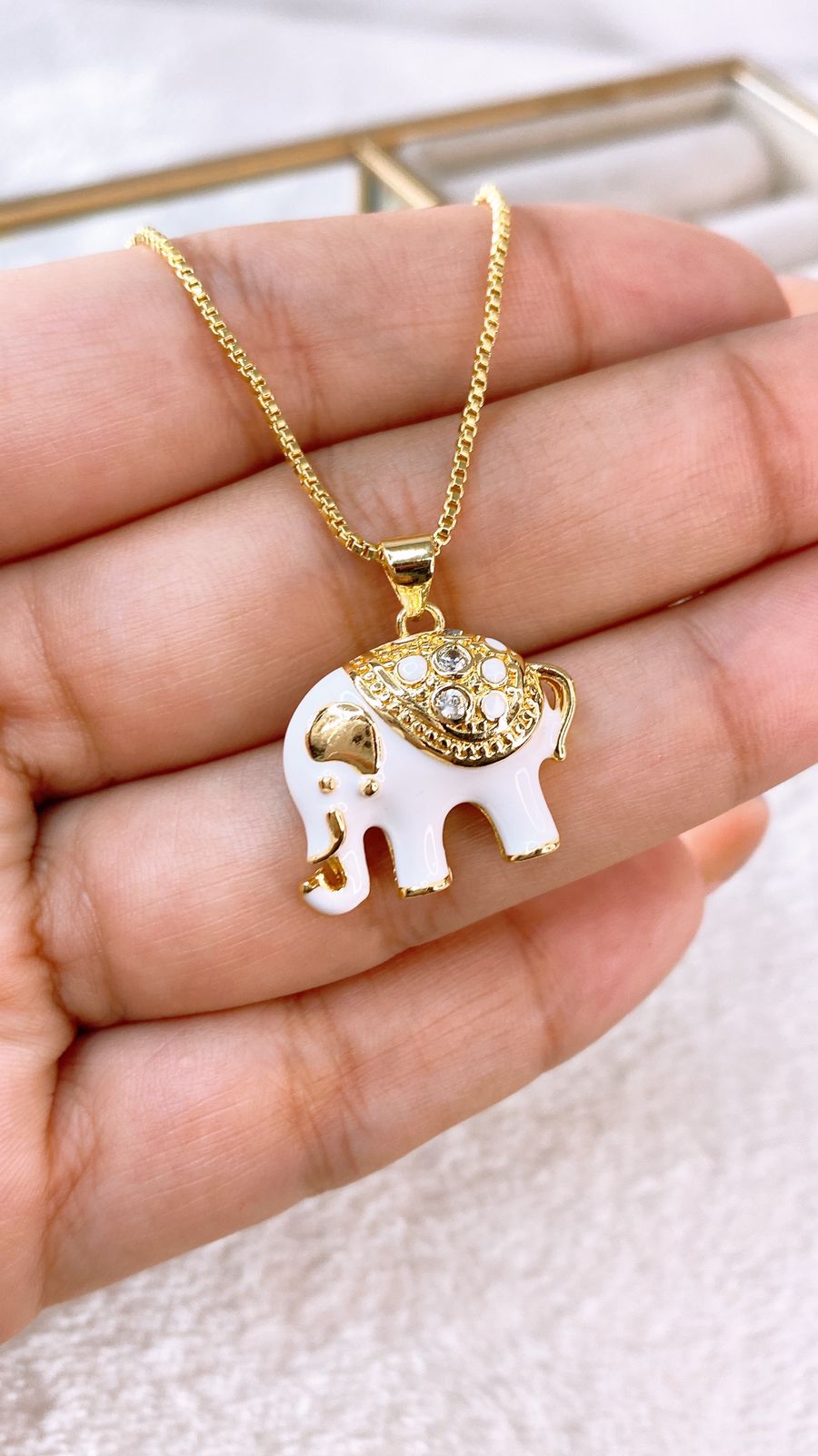 Collar de Chapa de Oro CC2313-1