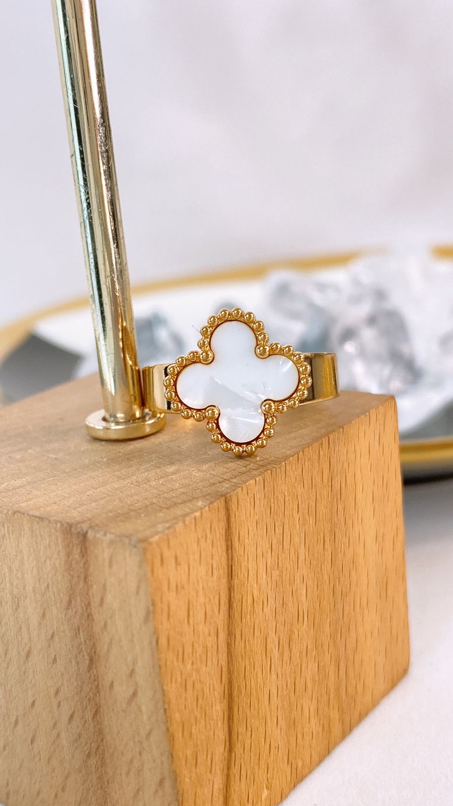 Anillo de Acero Ajustable RAI1234-2