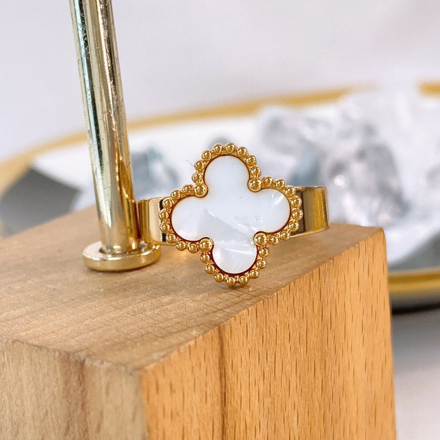 Anillo de Acero Ajustable RAI1234-2