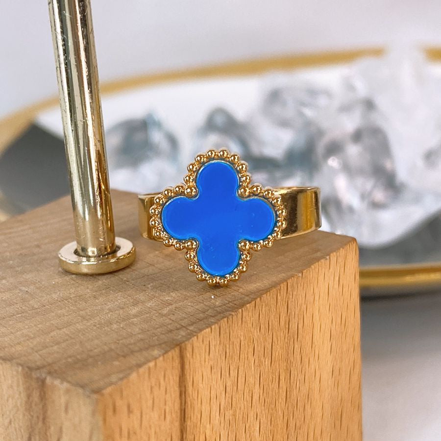 Anillo de Acero Ajustable RAI1234-5
