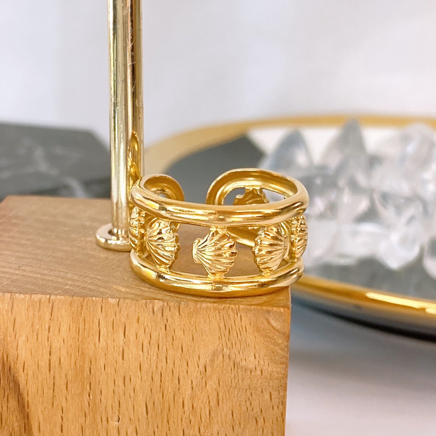 Anillo de Acero Inoxidable Ajustable RAI1288-1