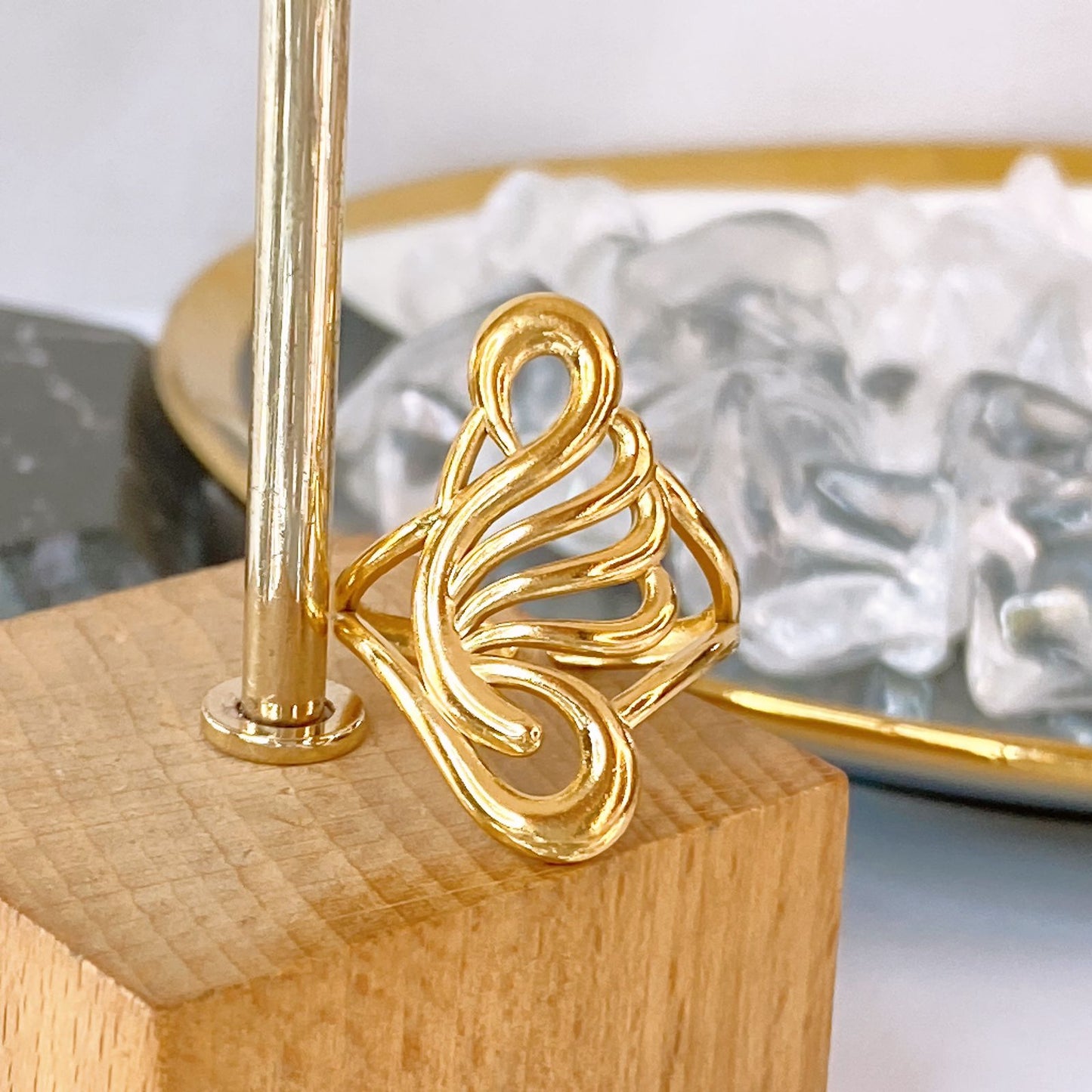 Anillo de Acero Inoxidable Ajustable RAI1312-1