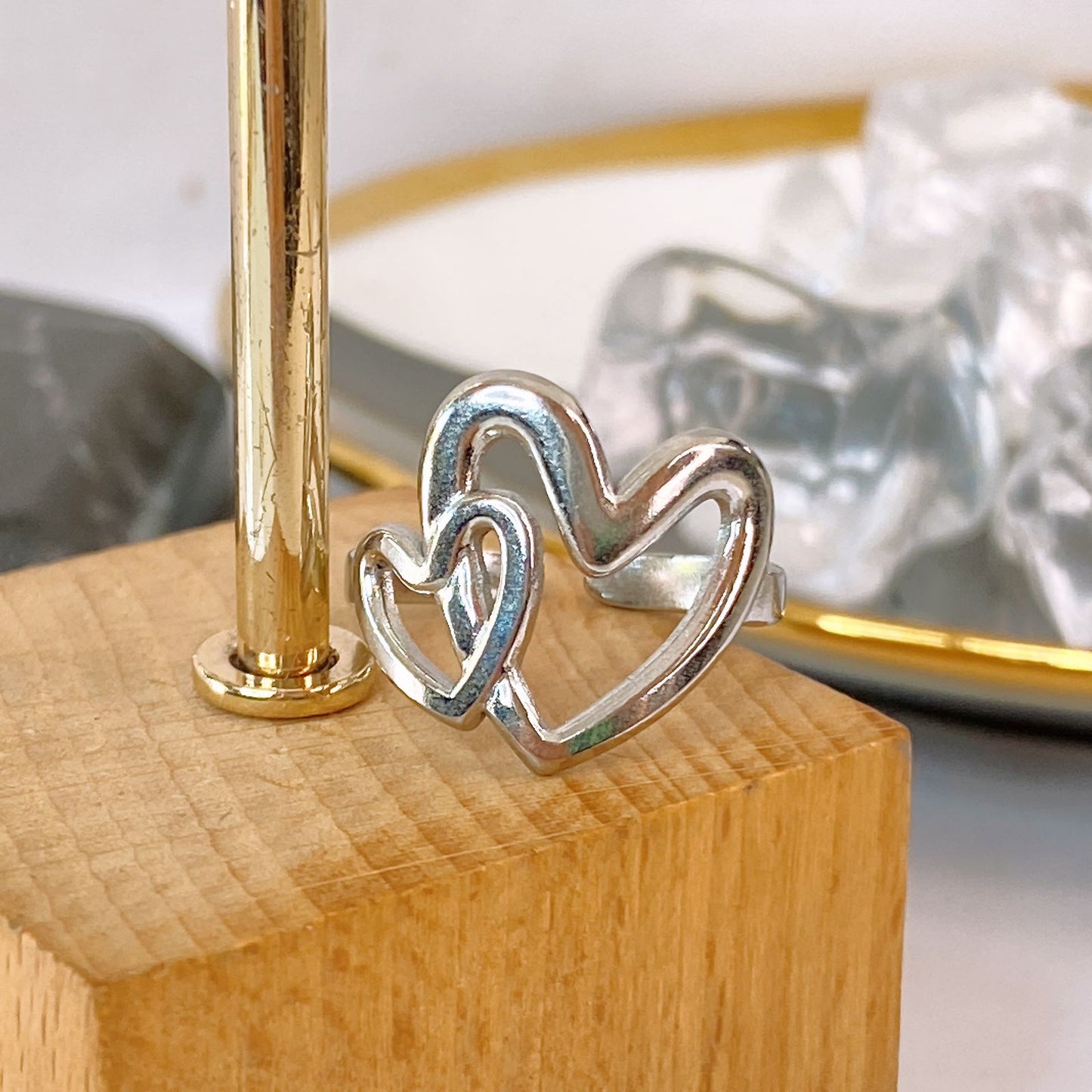 Anillo de Acero Inoxidable Ajustable RAI1362-2