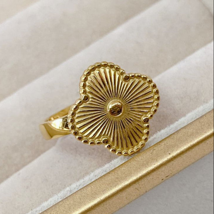 Anillo de Acero Inoxidable Talla #6 RAI1030-6