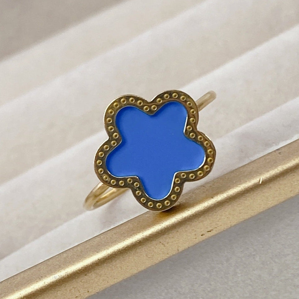 Anillo de Acero Ajustable RAI1233-1