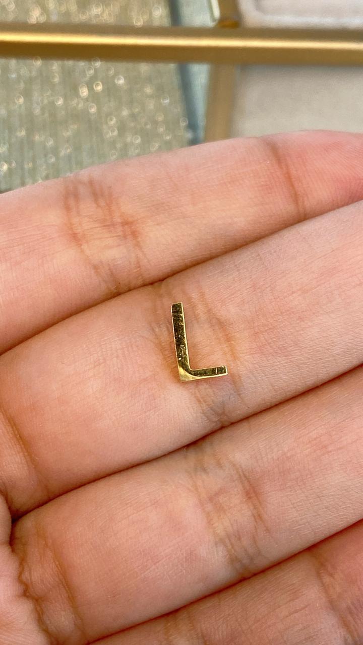 Dije de Acero Inoxidable para Collar CAI2666-L