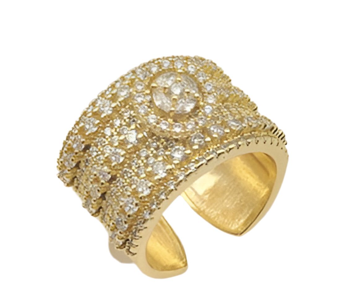 Anillo de Chapa de Oro ACO1133-1