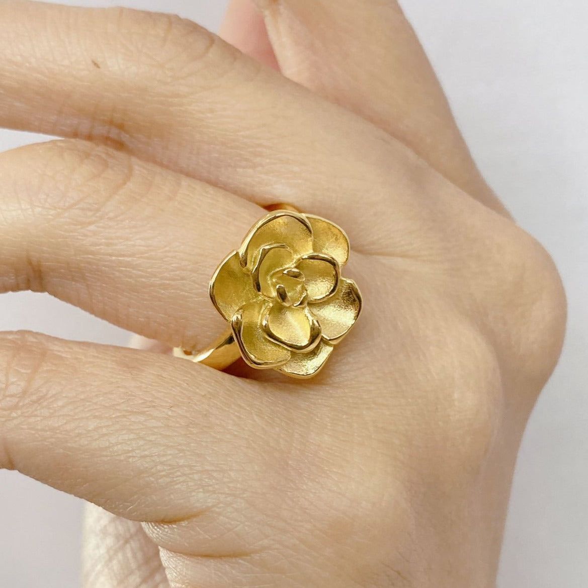 Anillo de Acero Inoxidable Ajustable RAI808-1