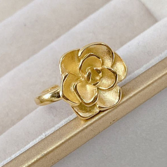Anillo de Acero Inoxidable Ajustable RAI808-1