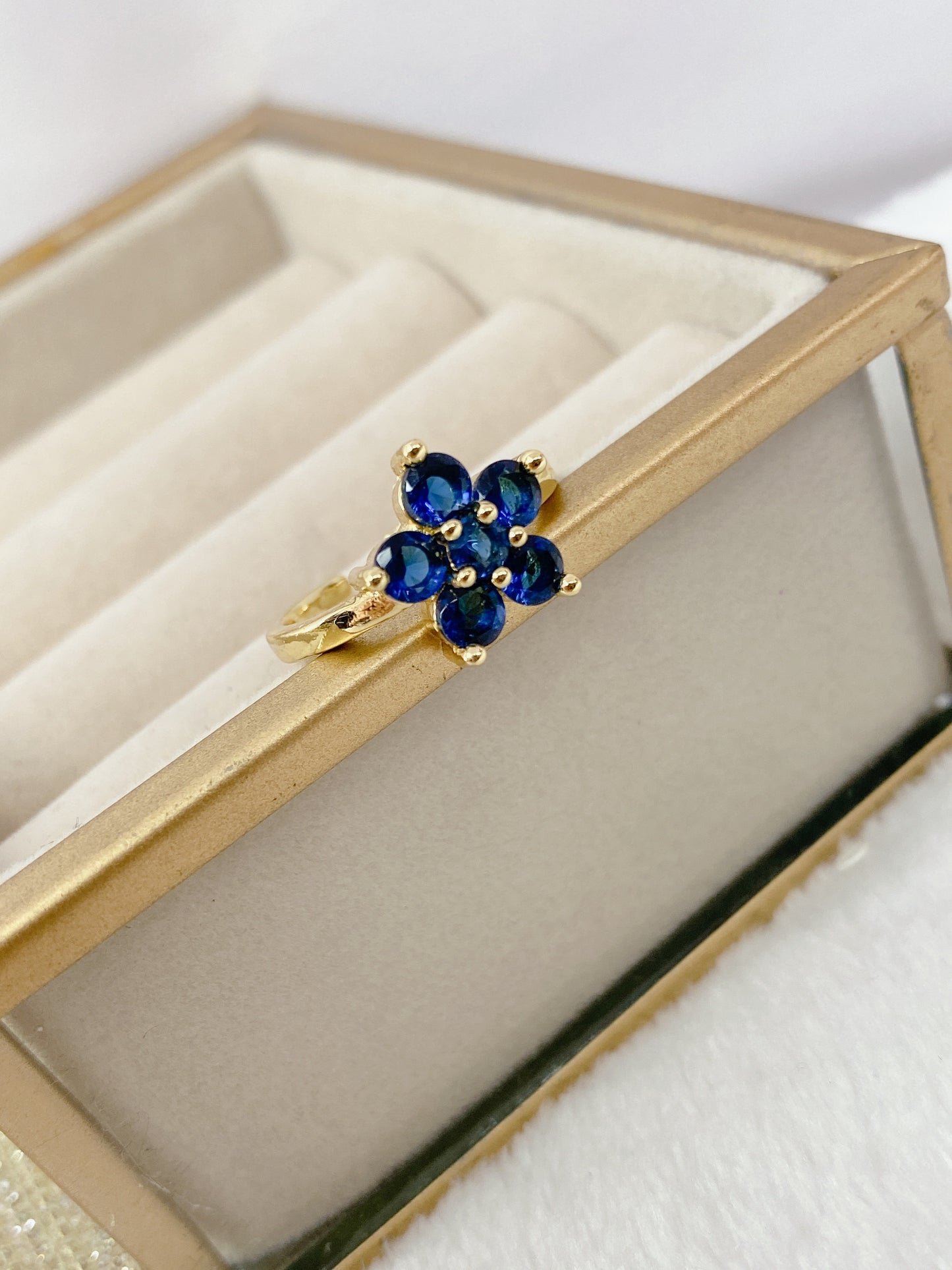 Anillo Chapa de Oro Ajustable ACO918-4