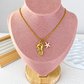Collar de Acero Inoxidable CAI3342-1