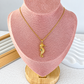 Collar de Chapa de Oro CC2375-1