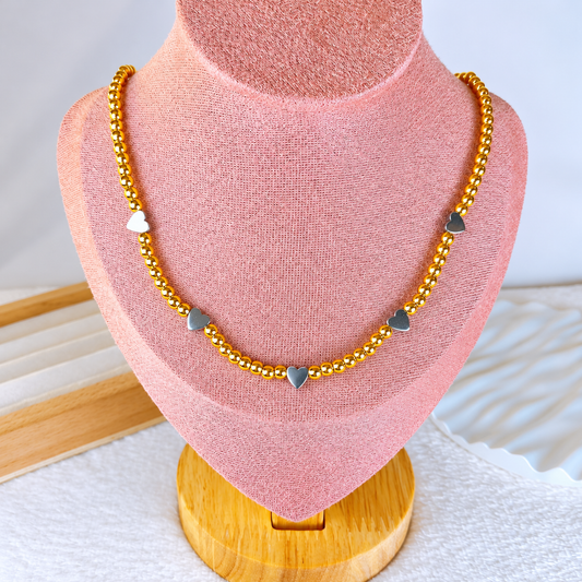 Collar de Acero Inoxidable CAI3570-2