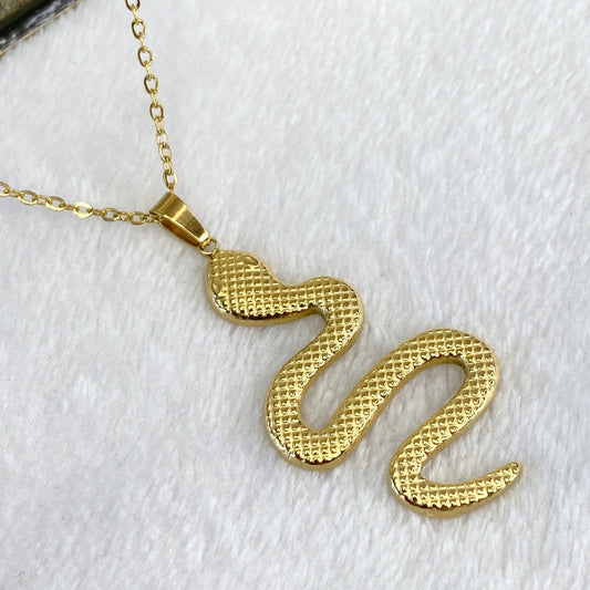 Collar de Acero Inoxidable CAI2105-1