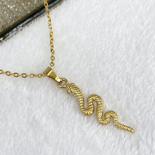 Collar de Acero Inoxidable CAI2107-1