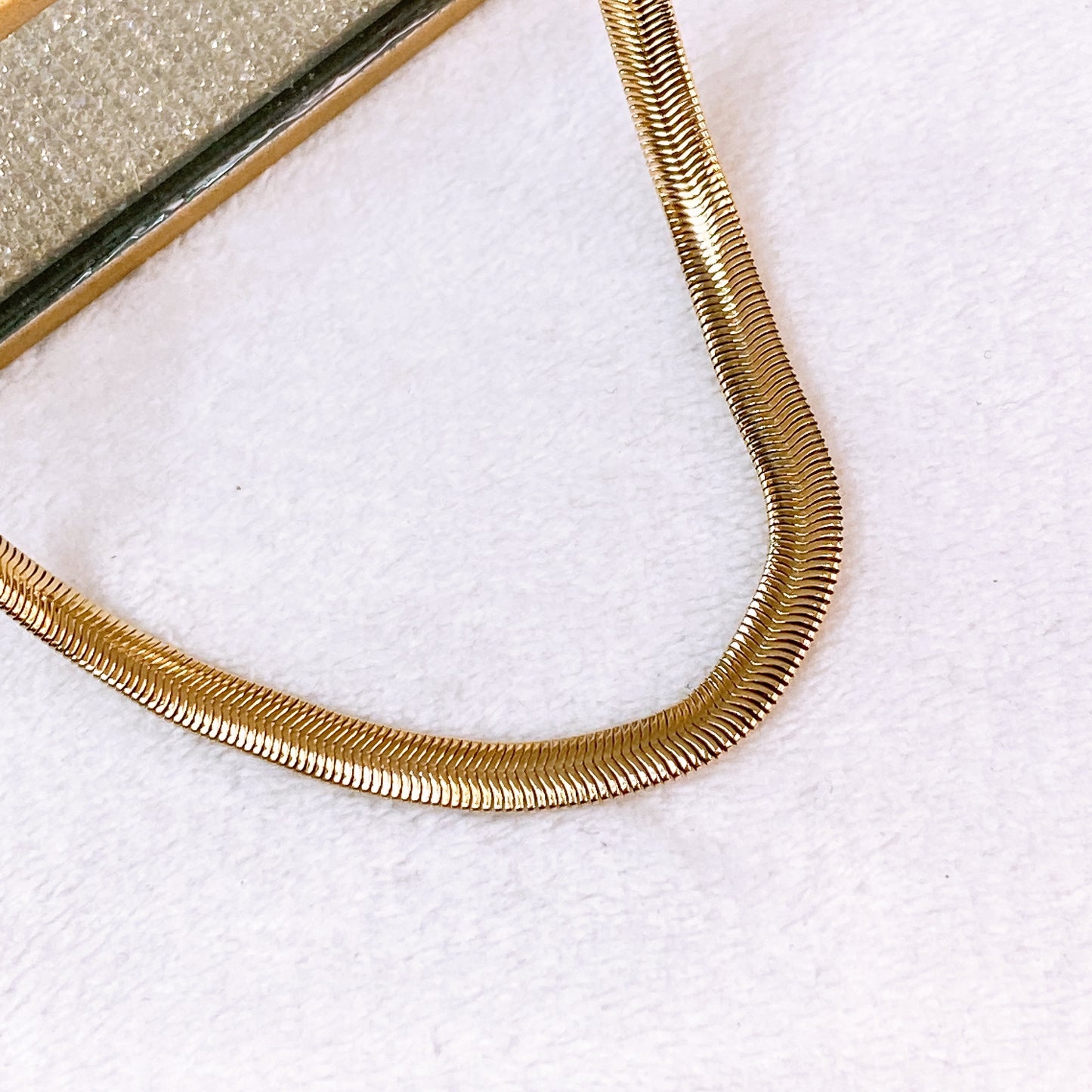 Collar de Acero Inoxidable CAI3296-1