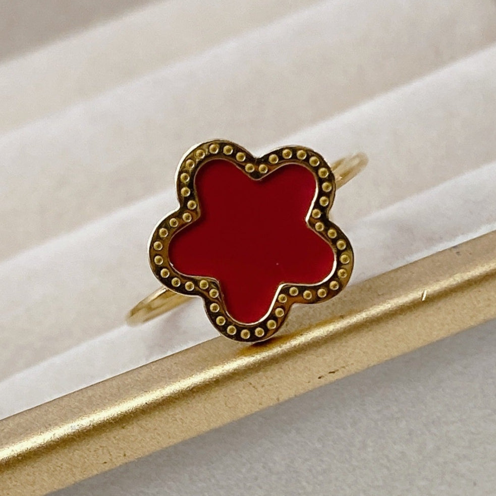 Anillo de Acero Ajustable RAI682-6