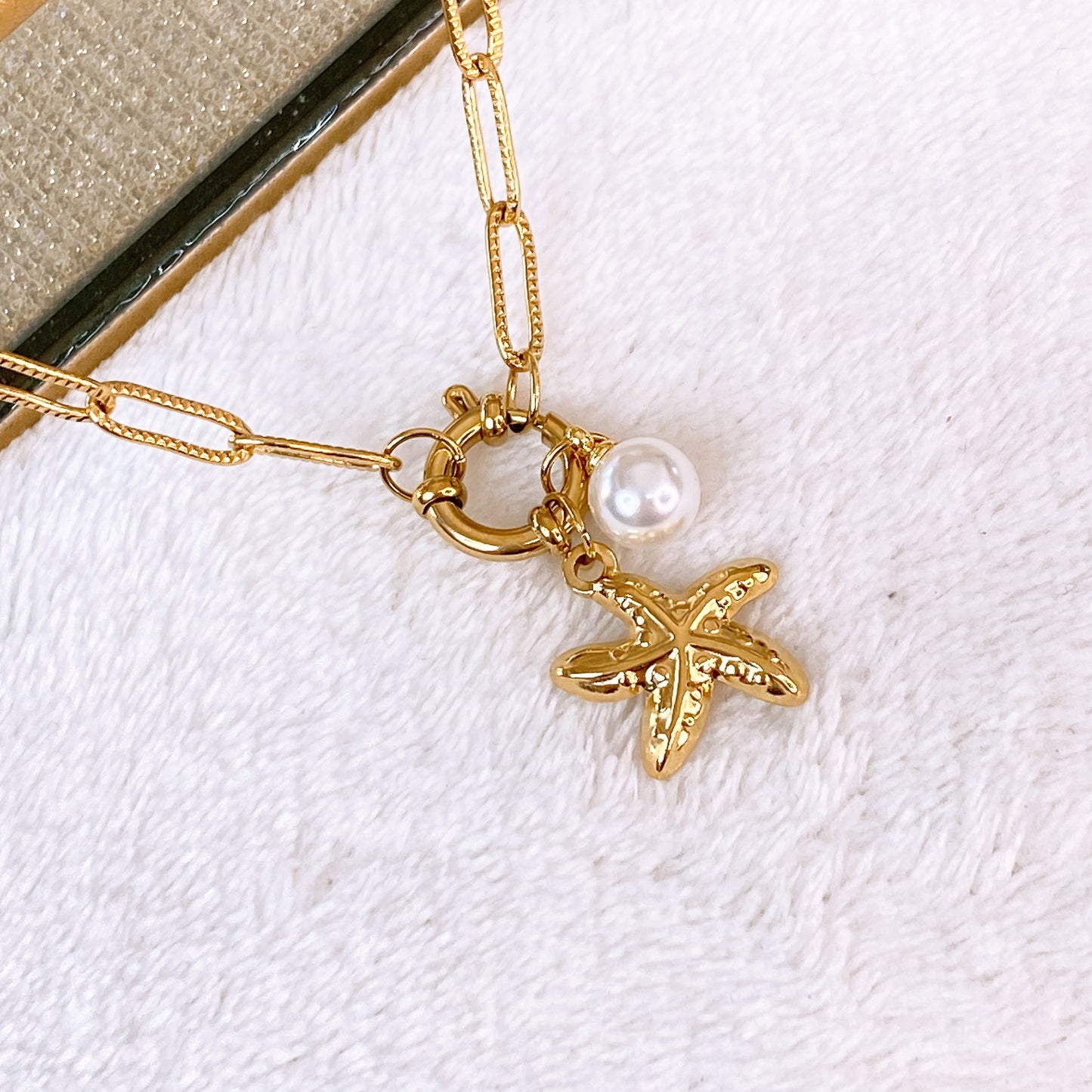 Collar de Acero Inoxidable CAI3347-1