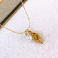 Collar de Acero Inoxidable CAI3349-1