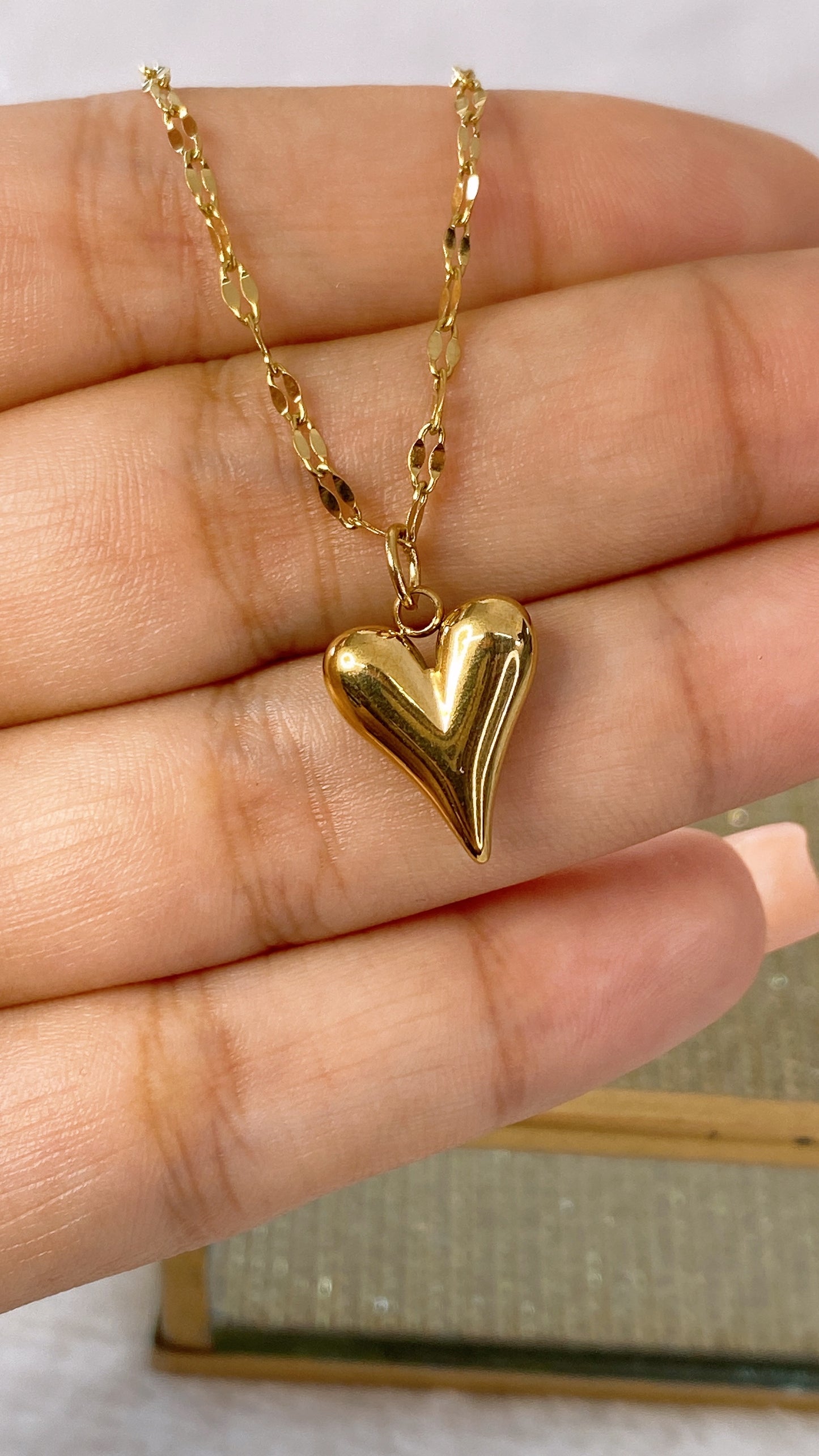 Collar de Acero Inoxidable CAI2439-1