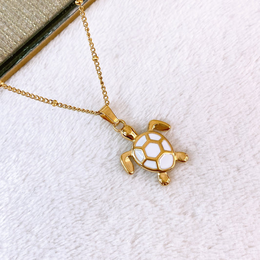 Collar de Acero Inoxidable CAI3338-1
